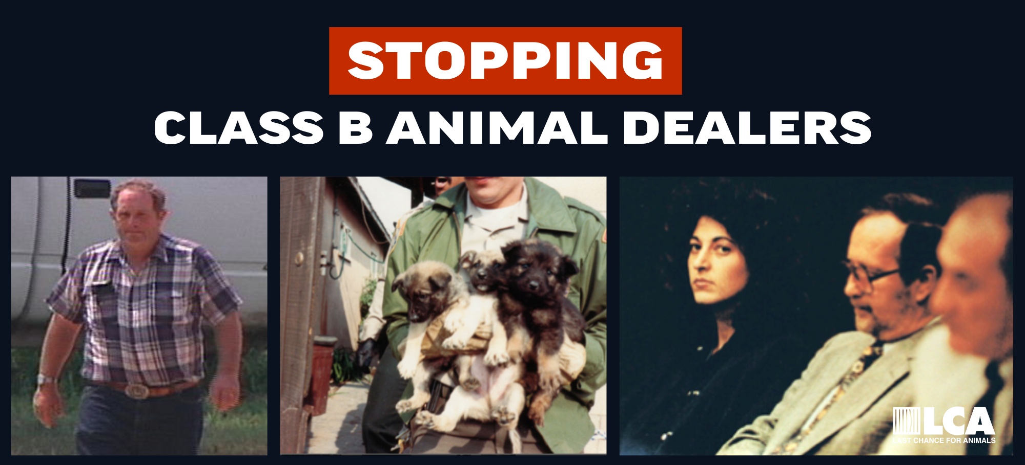 Stopping Class B Animal Dealers